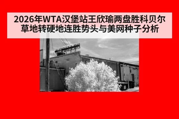 2026年WTA汉堡站王欣瑜两盘胜科贝尔 草地转硬地连胜势头与美网种子分析