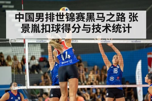 中国男排世锦赛黑马之路 张景胤扣球得分与技术统计